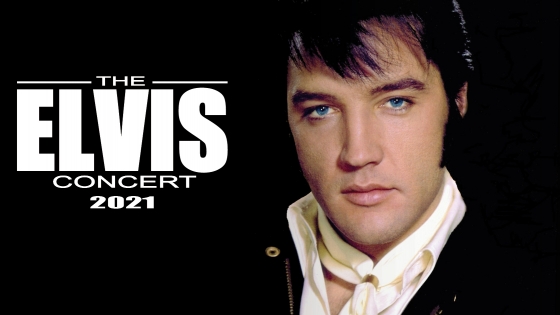 Elvis the concert